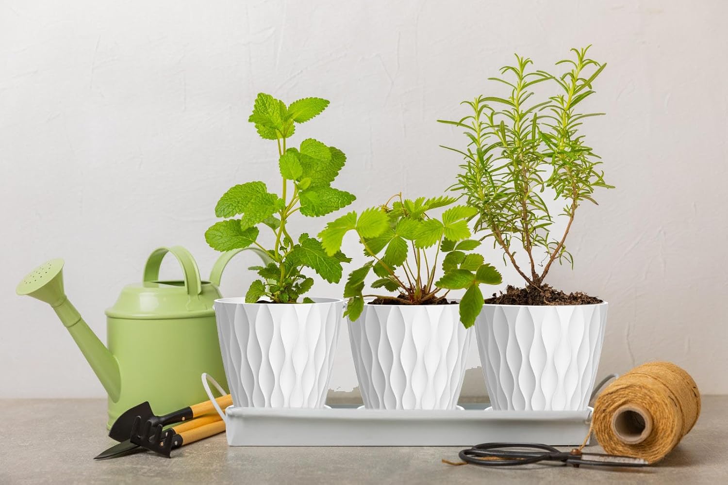 4 Inch Plant Pots, 6 Pack Indoor Flower Pots, Planters with Drainage Holes and Trays for Orchids, Violets, Succulents, Herbs, and Other Plants,White
