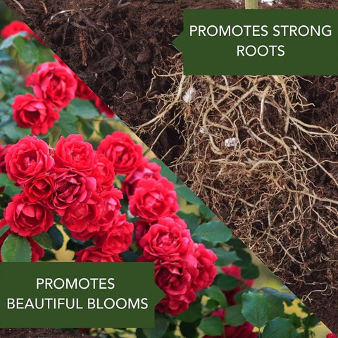 BioAdvanced All-in-One Rose and Flower Care I Granules - 4 lb Bottle