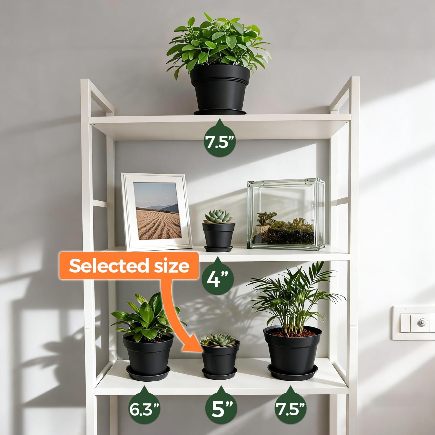 T4U Small Plant Pots 5 Inch 8 Pack, Plastic Indoor Flower Pots Saucer Black