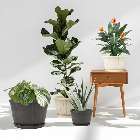 Quarut 4 Pack 10 inch Flower Pots,Plastic Plants Pots Outdoor