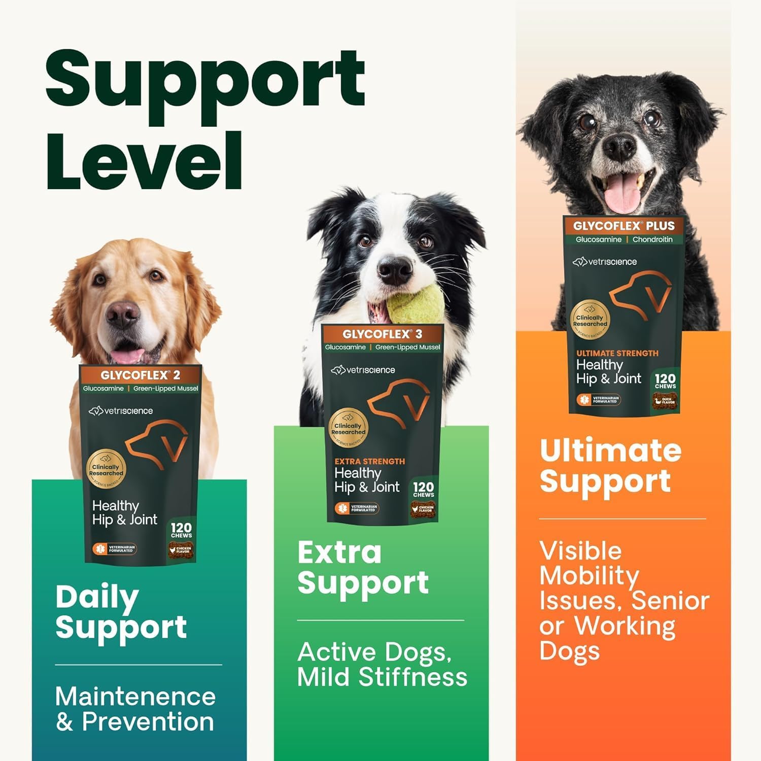 VetriScience Extra Strength Healthy Hip and Joint Tablets for Dogs, 2 Pack