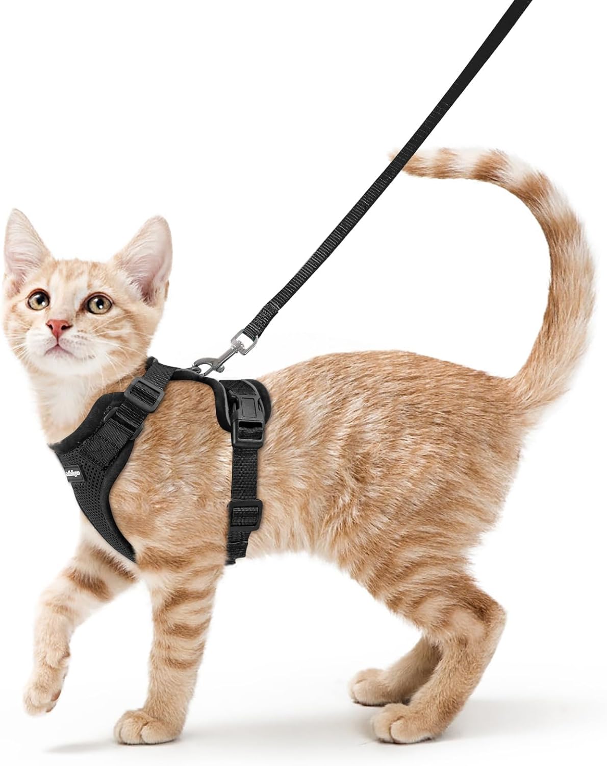 rabbitgoo Cat Harness and Leash Set, Escape Proof Vest, Black