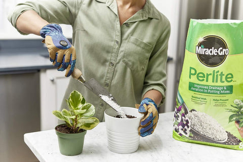 Miracle-Gro Perlite, 8 qt. (2-Pack)