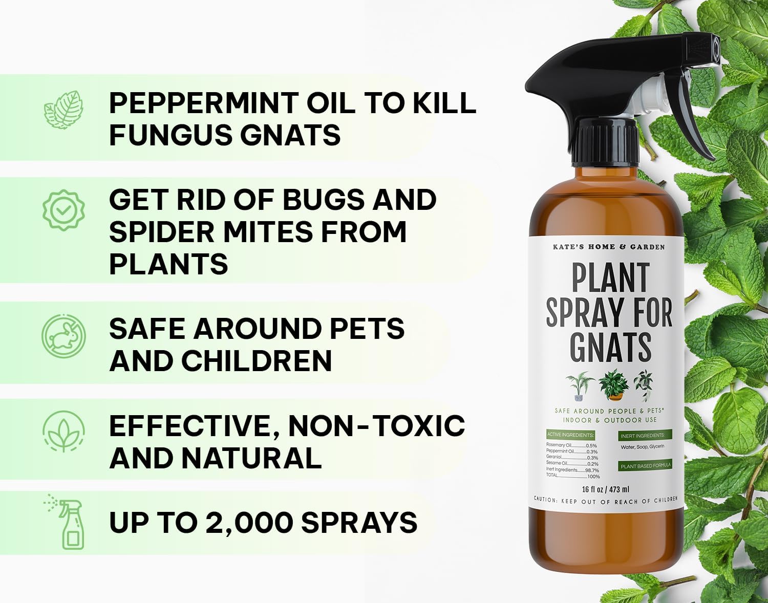 Kate's Home & Garden Plant Spray for Insects & Gnats, 12 Sticky Traps, 16oz