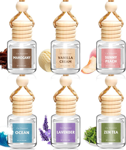 AROIC 6Pack Car Air Freshener, Hanging Essential Oil Air Freshener Diffuser