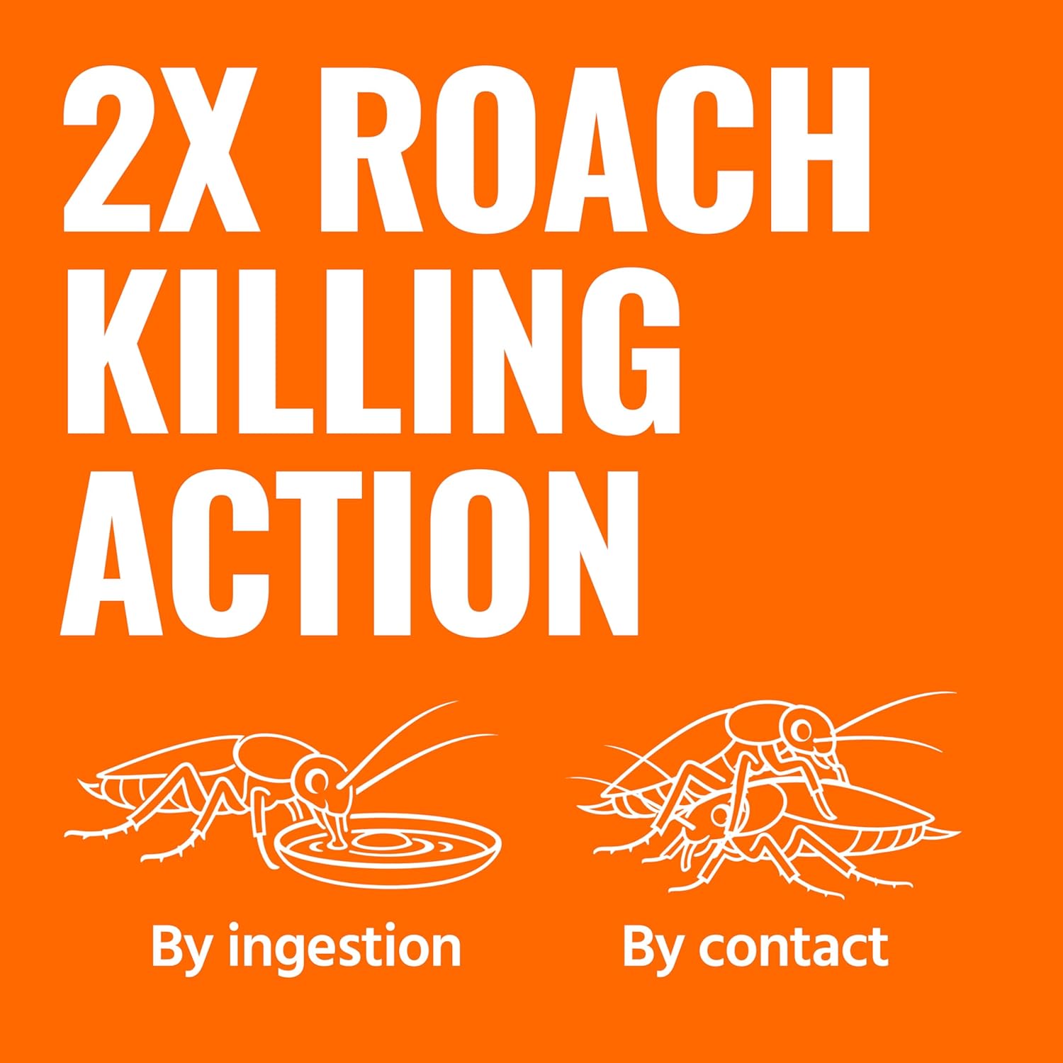 TERRO Roach Killer Gel Bait Stations, 12-Pack, Ready-to-Use Cockroach Bait