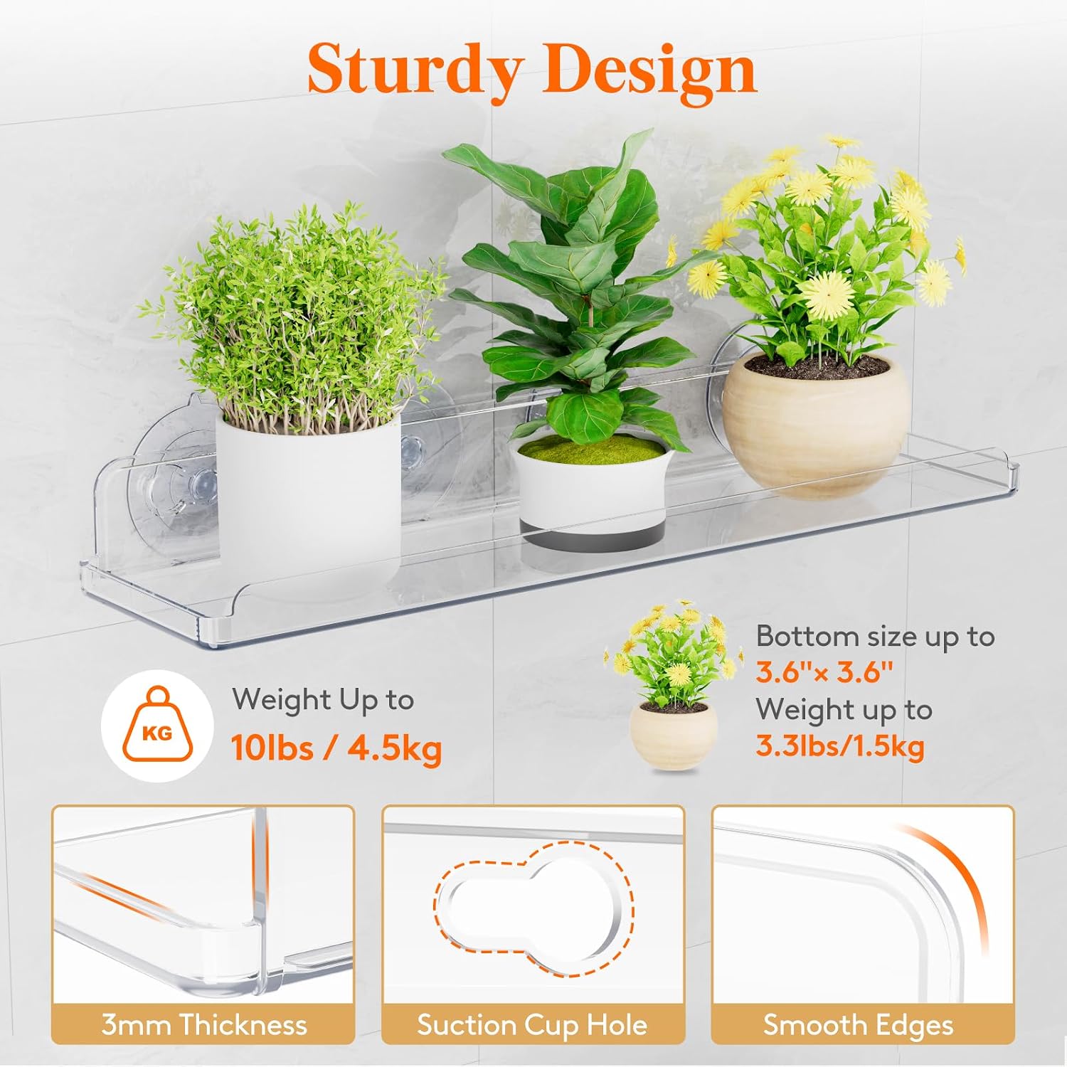 Lifewit Window Plant Shelves 14.6", 2 Pack Acrylic Suction Cup Holder