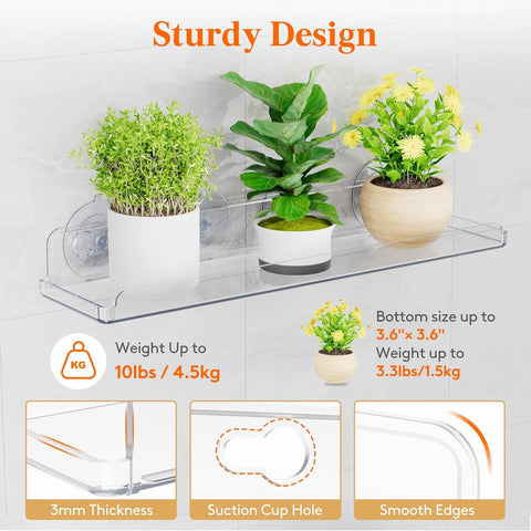 Lifewit Window Plant Shelves 14.6", 2 Pack Acrylic Suction Cup Holder