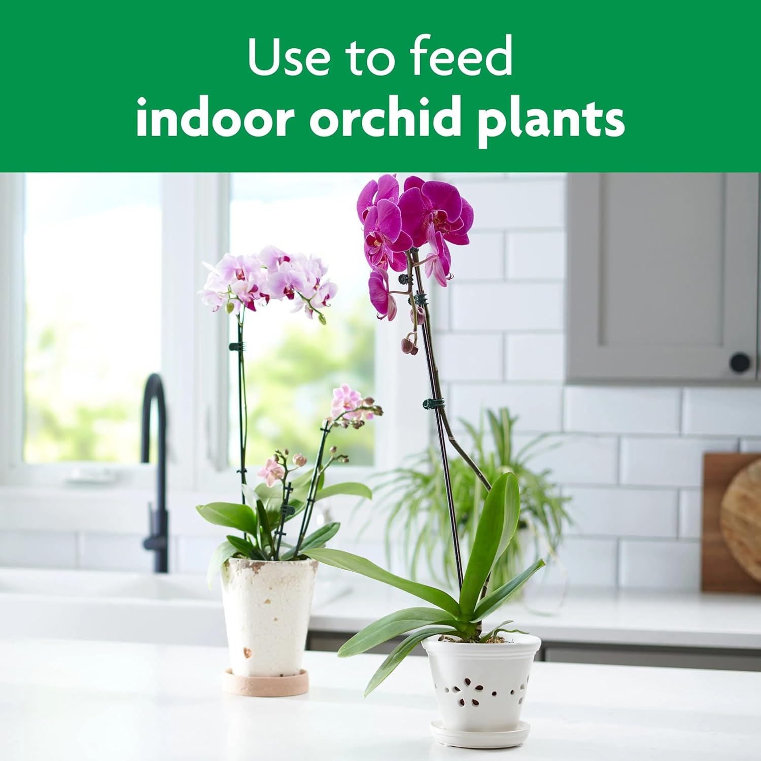 Miracle-Gro Orchid Plant Food Spikes - Indoor Plant Fertilizer Sticks for Potted Orchids, Feeds for up to 2 Months, 10 Spikes