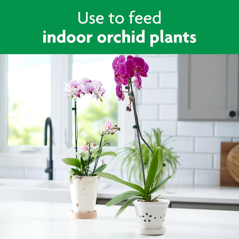 Miracle-Gro Orchid Plant Food Spikes - Indoor Plant Fertilizer Sticks for Potted Orchids, Feeds for up to 2 Months, 10 Spikes