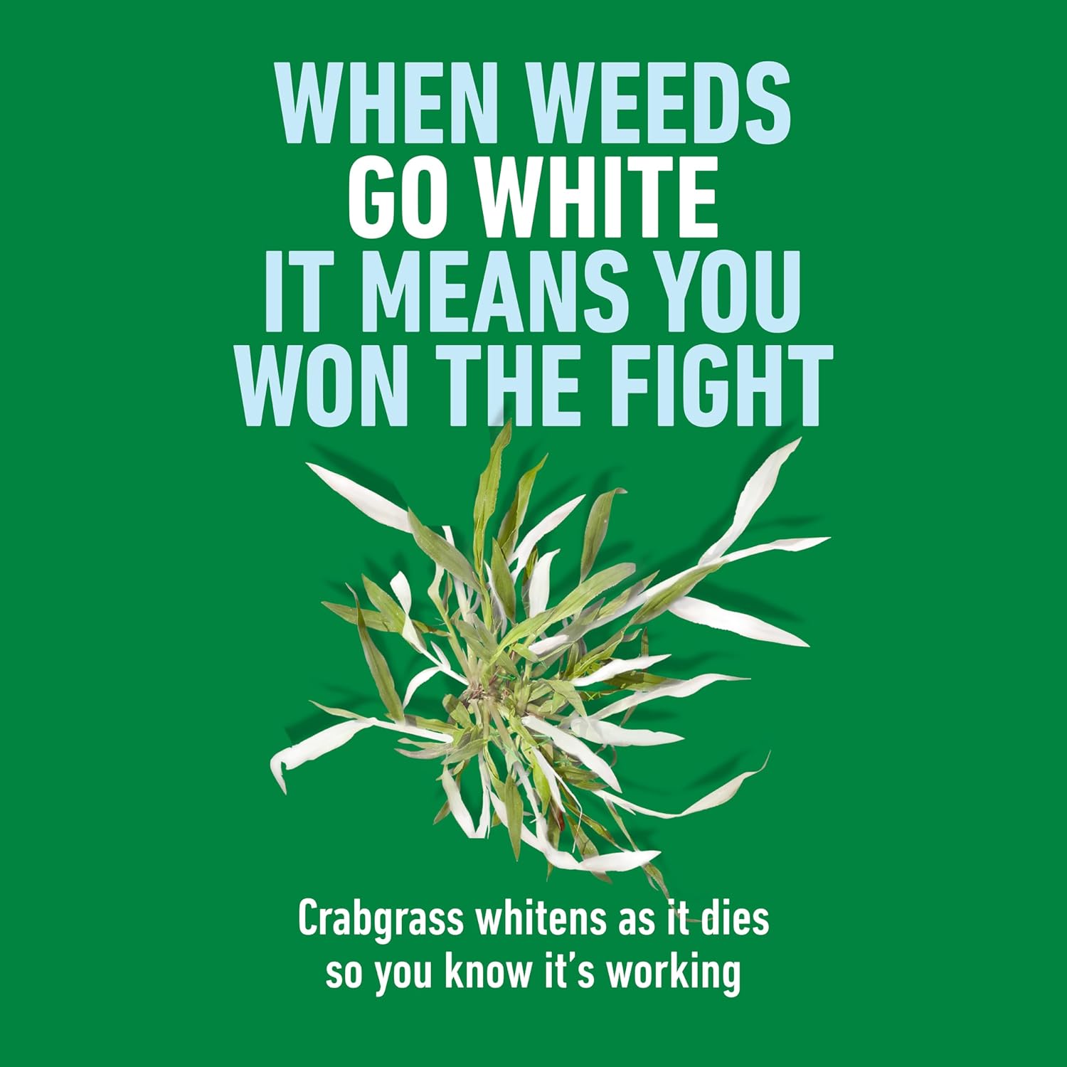 Roundup for Lawns Crabgrass Destroyer2, 64 fl. oz.