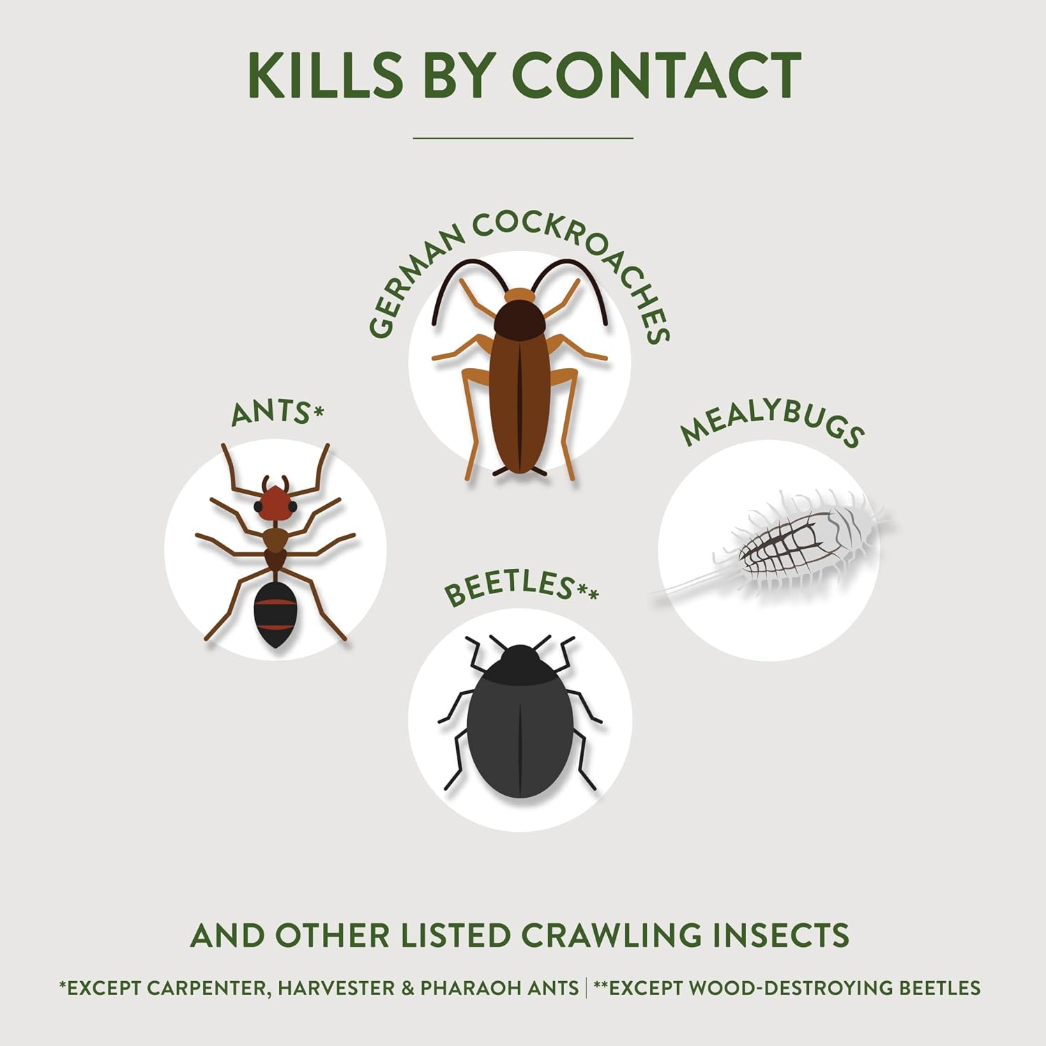 Garden Safe Crawling Insect Killer with Diatomaceous Earth, 4 Lb