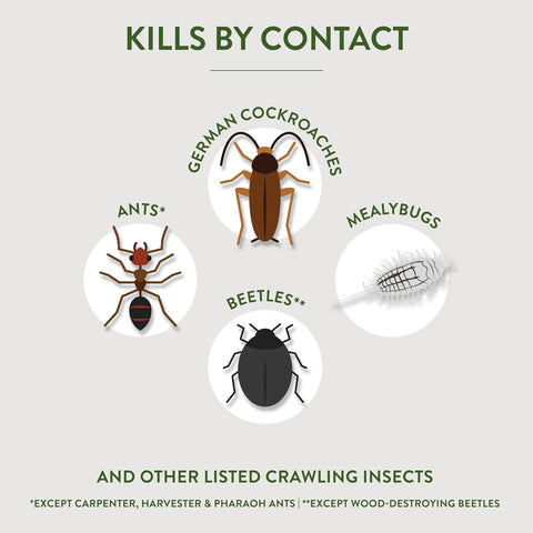 Garden Safe Crawling Insect Killer with Diatomaceous Earth, 4 Lb