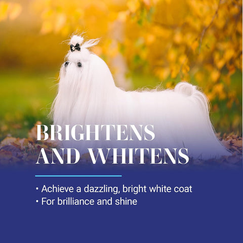 Chris Christensen White on White Whitening Treatment Dog Shampoo (1GAL)