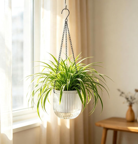 Melphoe 2 Pack Self Watering Hanging Planters Indoor Flower Pots, 5.3 Inch Outdoor Hanging Basket, Plant Hanger with 3Hooks Drainage Holes for Garden Home (White)