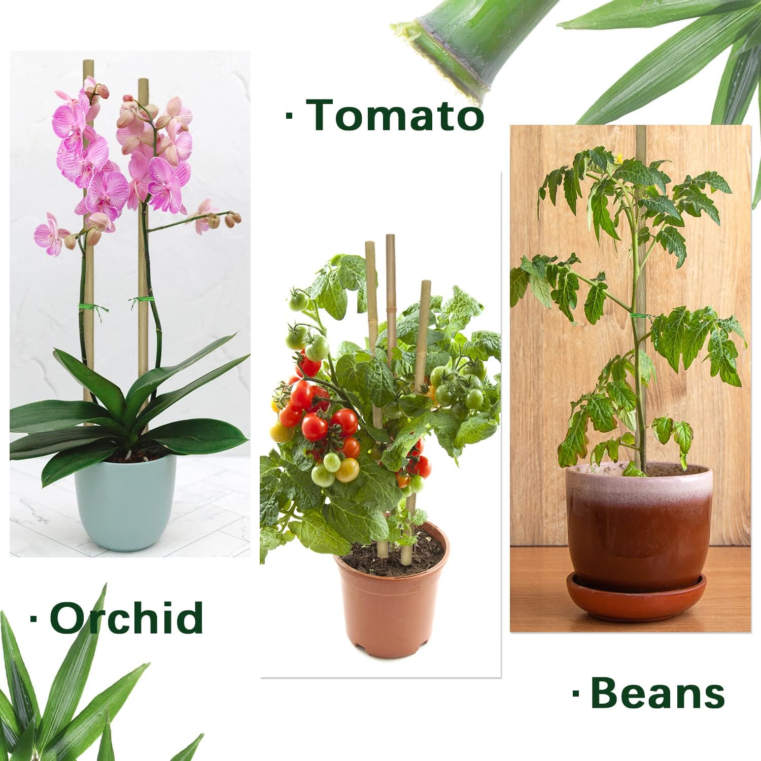 Plant Stakes,16IN Natural Garden Bamboo Sticks, 20Pcs Plant Support Stakes