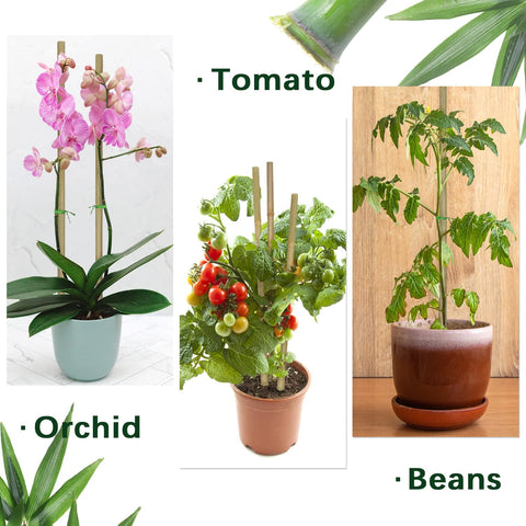 Plant Stakes,16IN Natural Garden Bamboo Sticks, 20Pcs Plant Support Stakes
