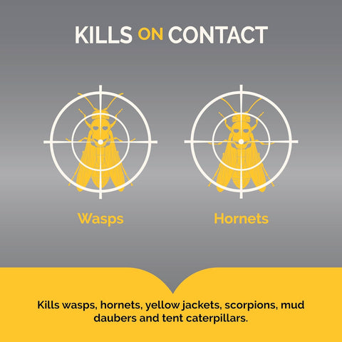 Hot Shot Wasp & Hornet Killer Aerosol Spray 14 Oz, Kills on Contact, 3 Pack