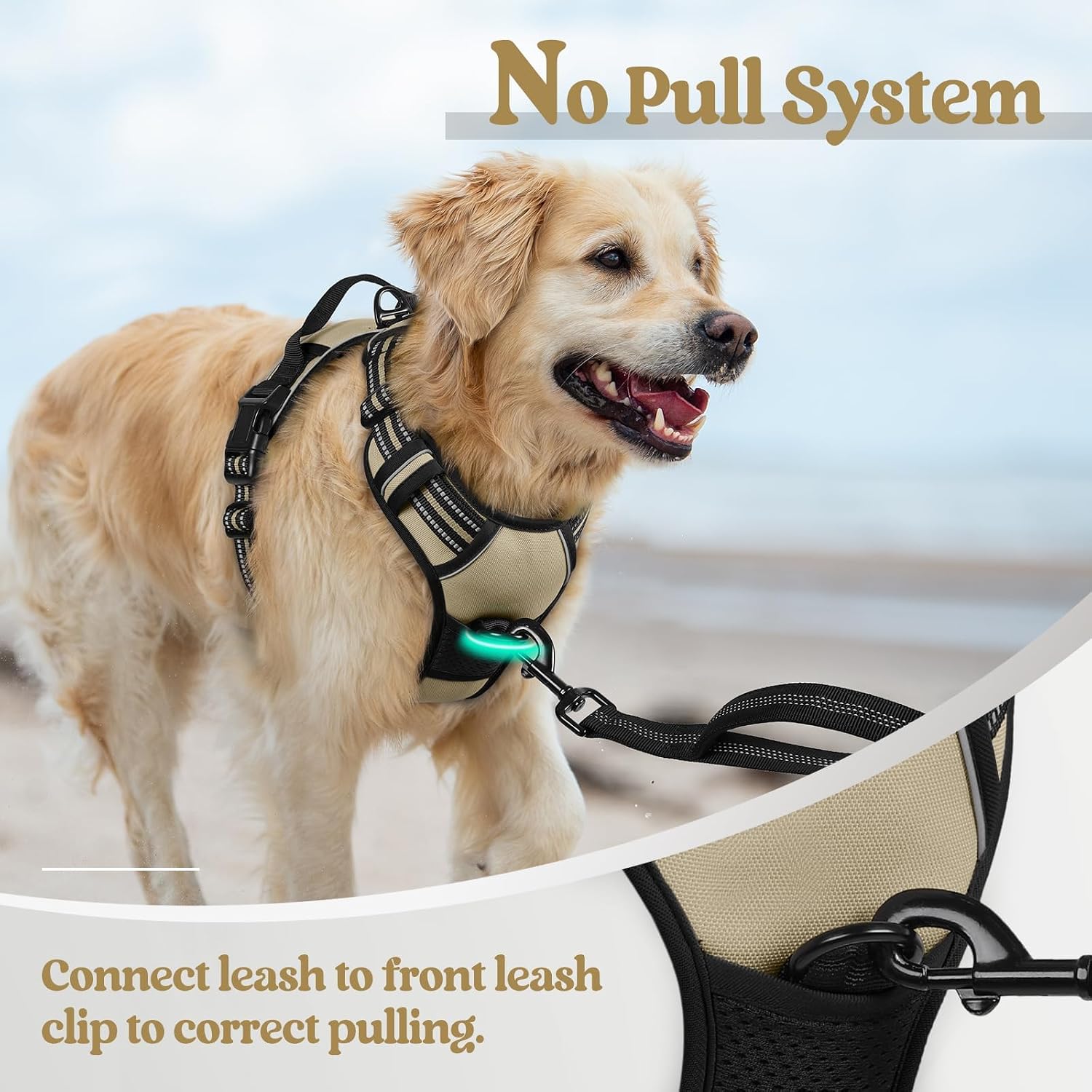 rabbitgoo Dog Harness, No Pull Medium Sized with 2 Leash Clips, Pet Vest