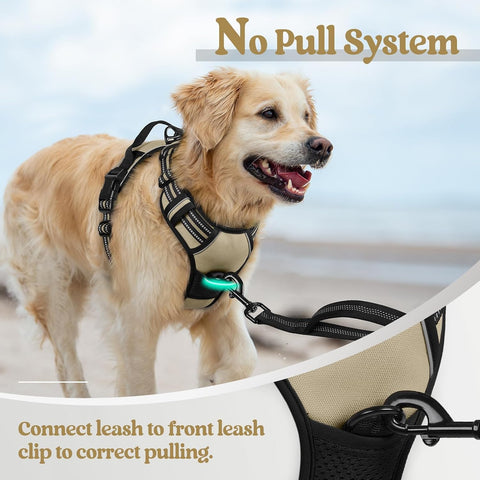 rabbitgoo Dog Harness, No Pull Medium Sized with 2 Leash Clips, Pet Vest