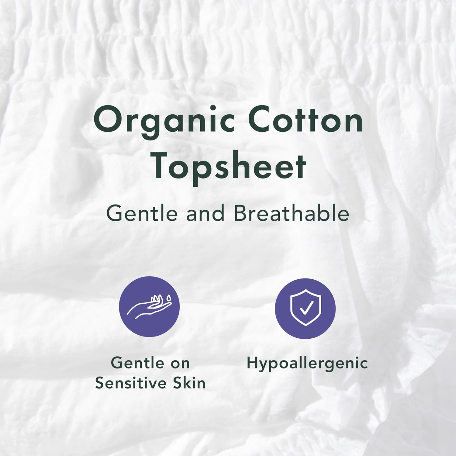 Rael Disposable Period Underwear, Organic Cotton Cover (Size S-M, 12 Ct)