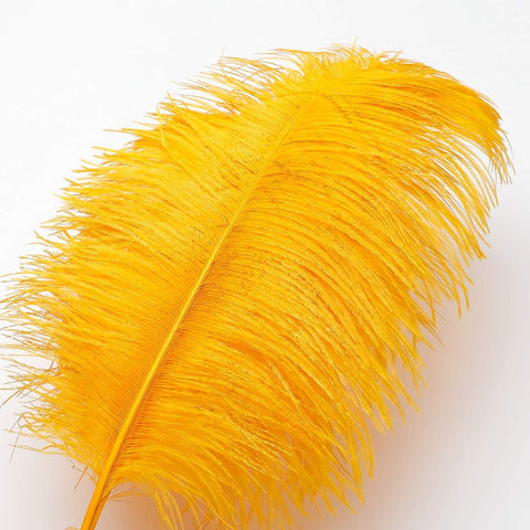 Ballinger Big Gold Ostrich Feathers for Crafts,24Pcs,8-10inch