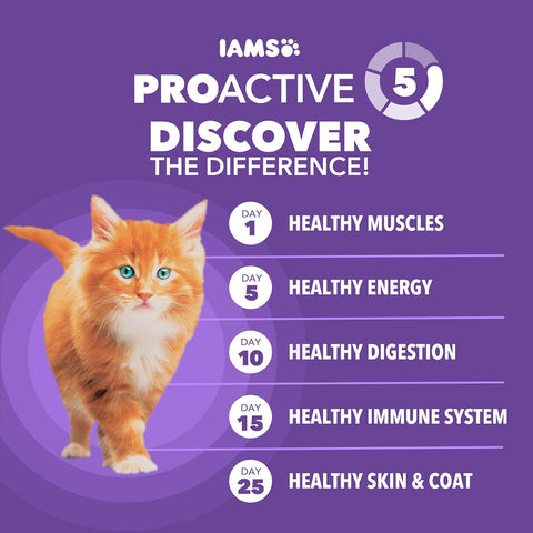 IAMS Proactive Health Healthy Kitten Dry Cat Food, Chicken, 3.5 lb