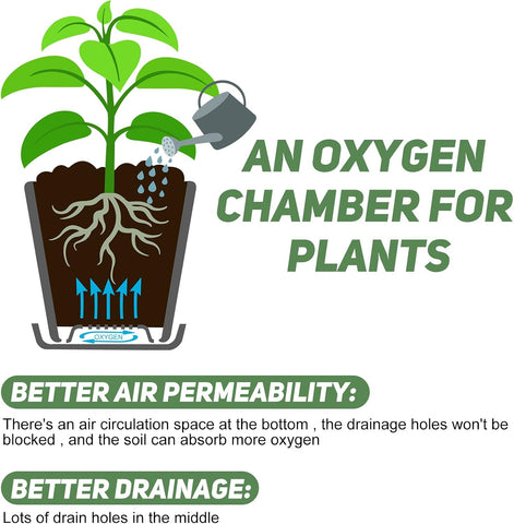 YNNICO 7.5/7/6.5/6/5.5/4.5/3.5 Inches Plant Pots with Drainage and Saucers