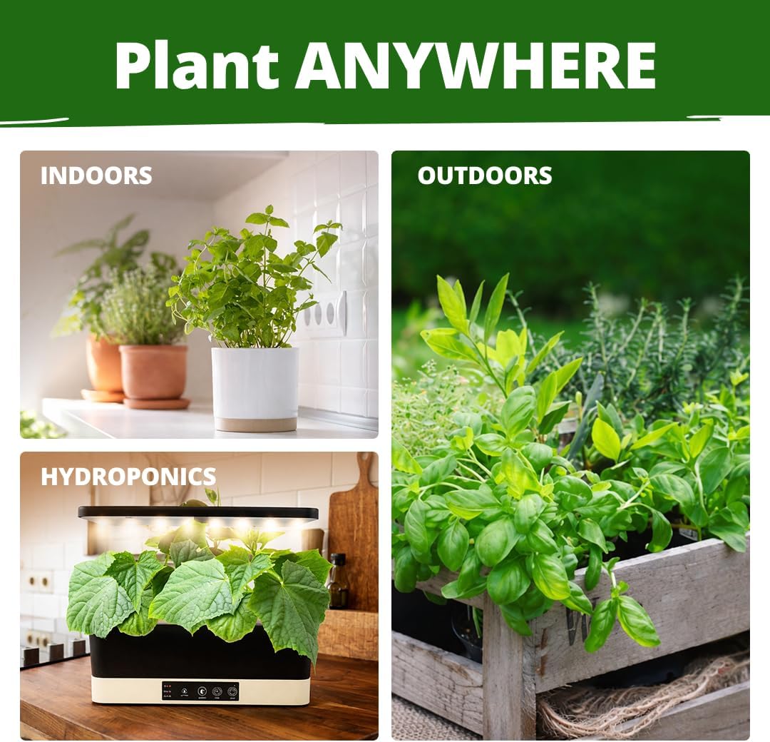 15 Culinary Herb Seeds - Heirloom & Non GMO - High Germination Rate - Seeds for Planting Indoor Hydroponic or Outdoor Herbs Garden | Gardening Gift Men Women Gardeners - Basil, Cilantro, Mint