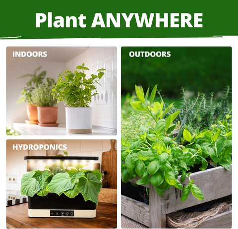15 Culinary Herb Seeds - Heirloom & Non GMO - High Germination Rate - Seeds for Planting Indoor Hydroponic or Outdoor Herbs Garden | Gardening Gift Men Women Gardeners - Basil, Cilantro, Mint