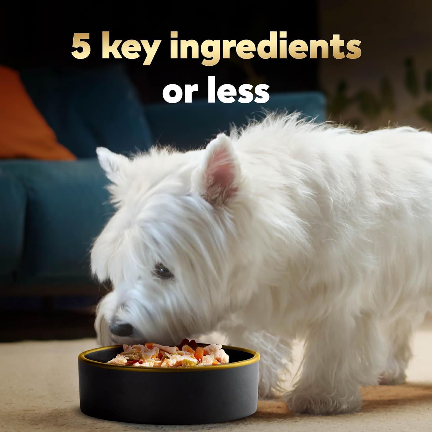 Cesar Simply Crafted Wet Dog Food Toppers, Chicken, 1.3 oz, 10 Count