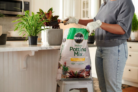 Miracle-Gro Indoor Potting Mix - Blended for a Wide Variety of Container Plants, 16 qt. (2-Pack)