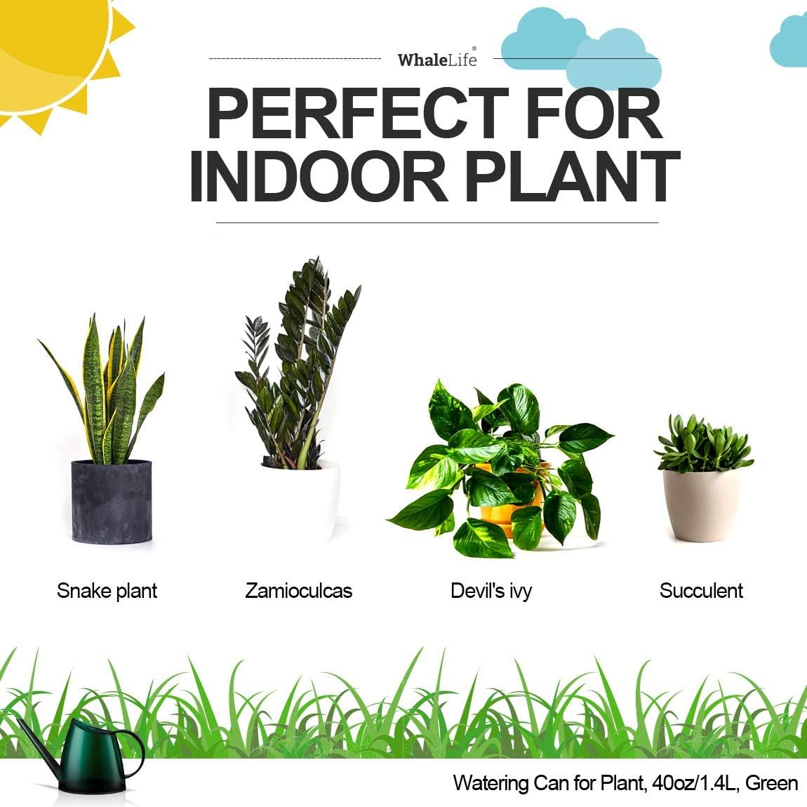 WhaleLife Small Indoor Plant Watering Can - 1.4L Dark Green Long Spout