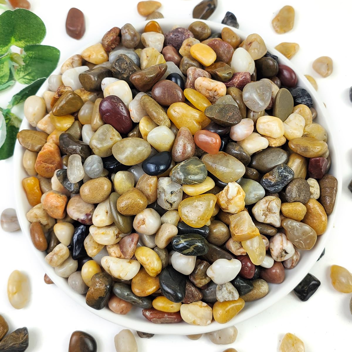 YISZM 5LB Succulent and Cactus Gravel Pebbles, 3/8 Inch Natural Stones