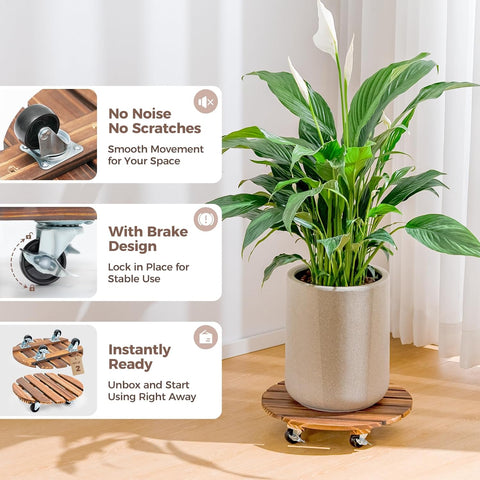 Bamworld Plant Caddy 12 Inch Rolling Tray with Wheels 2 Pack