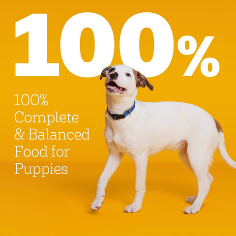 Pedigree Puppy Dry Dog Food, Chicken, Rice, and Vegetable, 3.5 lb