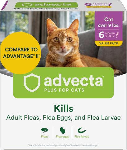 Advecta Plus Cat Flea Treatment 9+ lbs, Imidacloprid, 6-Month