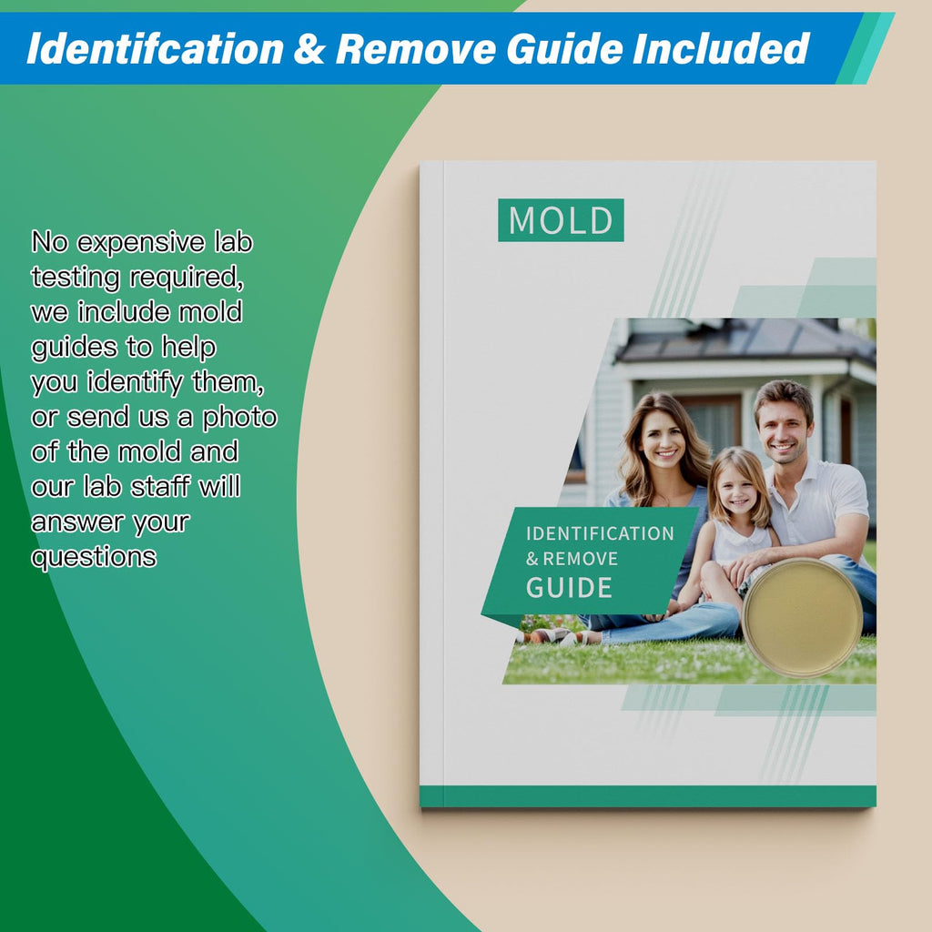 Mold Test Kit for Home - 12 Simple Detection Tests,Test HVAC System ...
