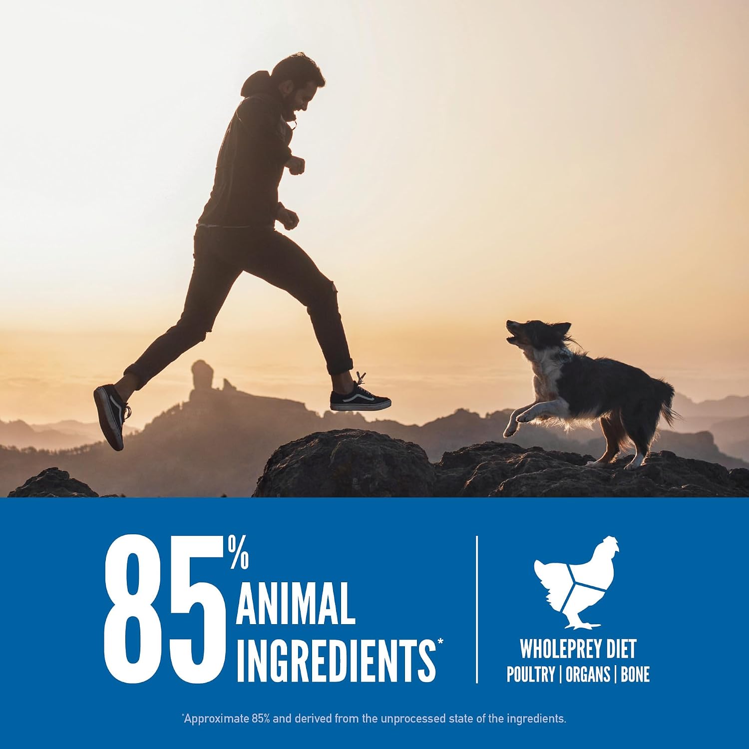 ORIJEN Grain Free WHOLEPREY Dry Dog Food Original Recipe 23.5lb Bag