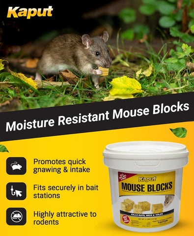 Kaput Mouse Blocks, Rodent Bait for Mice & Rats, Warfarin Vole Killer for Indoor/Perimeter Use, Kills Rodents with Consistent Feeding - Ideal for Homes, Farms & Transport Areas (4 lbs)