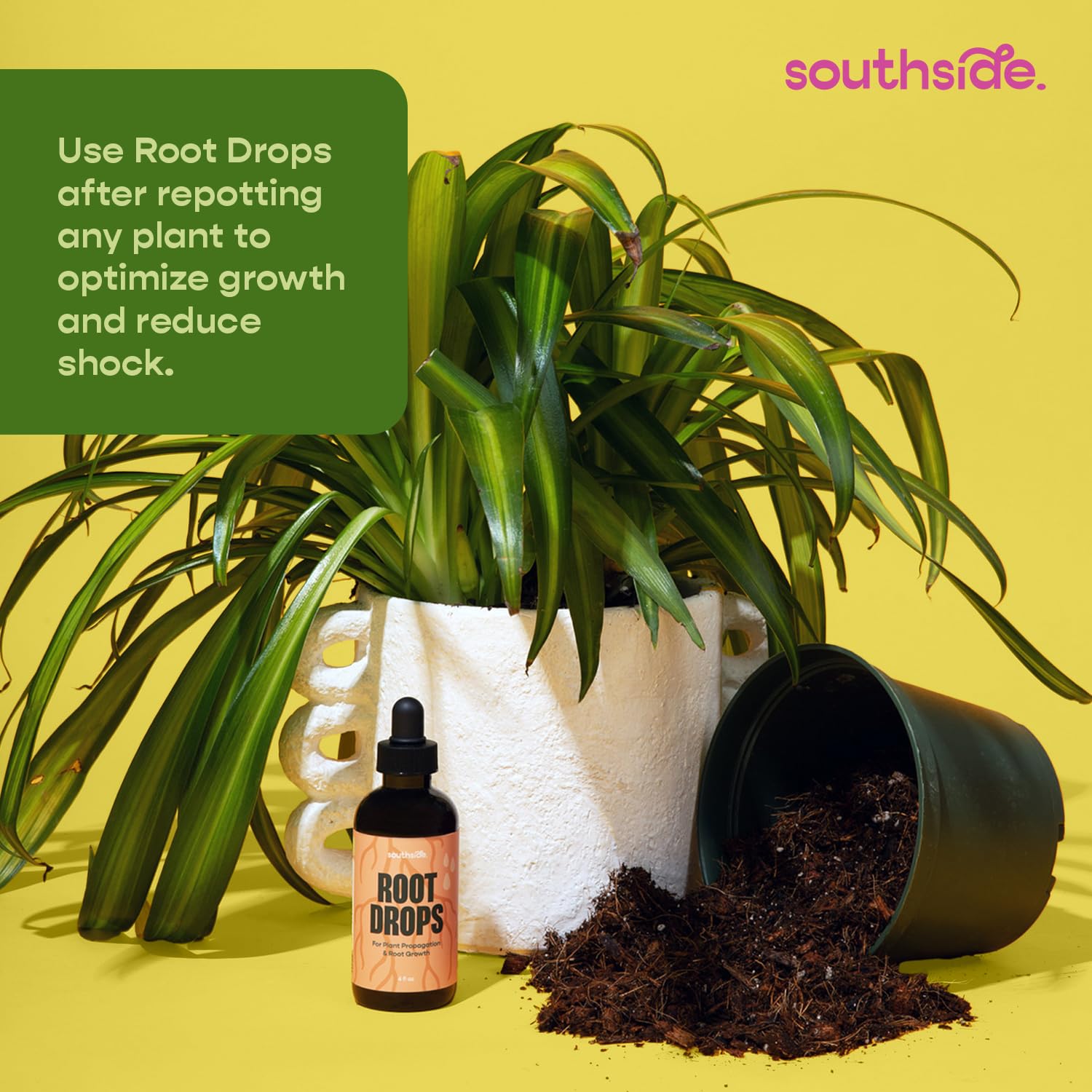 Root Drops - Liquid Rooting Hormone for Cuttings | Fast Propagation Drops, Stronger Roots, Less Shock | Works in Water, Soil, Leca, Moss| For all Indoor Houseplants like Pothos, Monstera, Philodendron