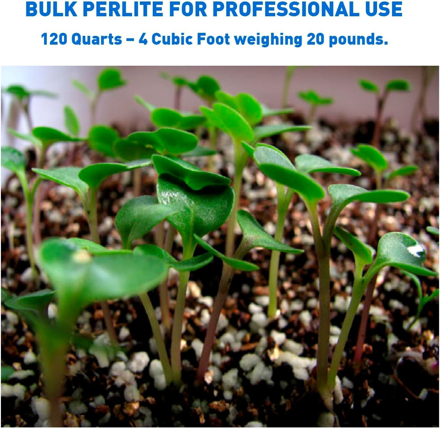 Norcal Perlite Horticultural Organic Certified Premium Screened Coarse Garden Indoor Outdoor Plants Soil and Drainage 4 Cubic Feet (103 Quarts) 1 Bag NEW