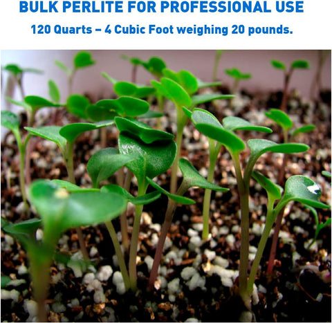 Norcal Perlite Horticultural Organic Certified Premium Screened Coarse Garden Indoor Outdoor Plants Soil and Drainage 4 Cubic Feet (103 Quarts) 1 Bag NEW