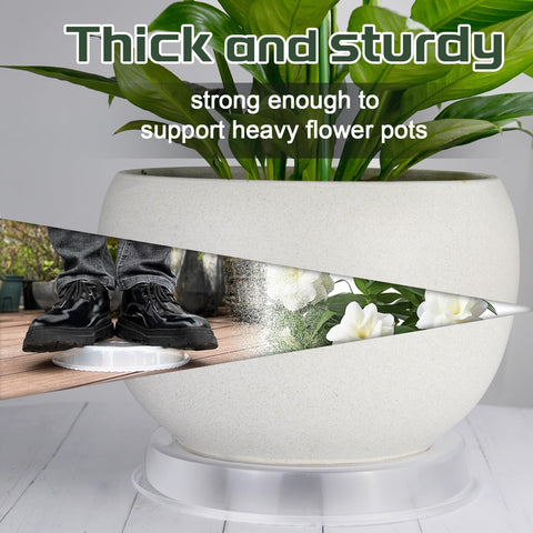 SupKing 6 Pack Plant Saucers Drip Tray, 6 8 10 12 14 15 Inch Heavy Sturdy Plastic Flower Pot Saucers for Indoor,Clear Plastic Planter Water Tray for pots Base (10''-Clear)