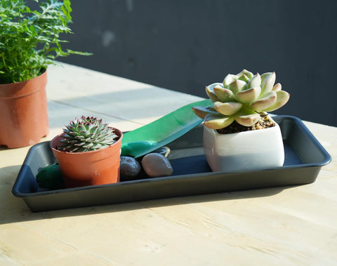 VUWEZ 6 Pack Plastic Plant Tray Saucer Rectangular, Heavy Duty Planter Saucers for Indoors, Plant Water Drip Trays for Flower Pot Planter, Windowsill Pot Tray, Seed Starting Growing Trays