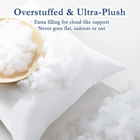 puredown® 12x20 Outdoor Pillow Inserts, Down Alternative Filling, Set of 4