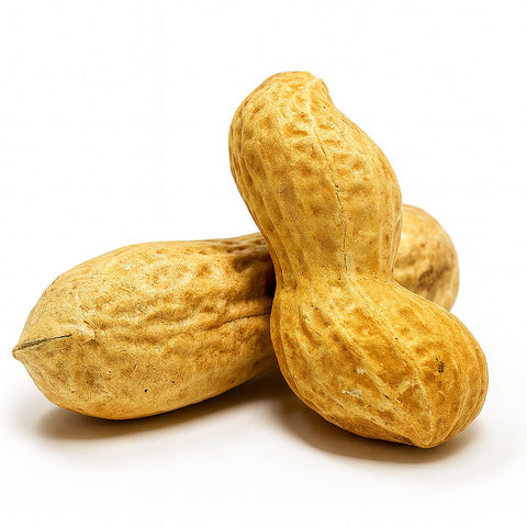 Sky | Premium USA Grown, Raw Peanuts in Shell for Squirrels, 2.5lb | Jumbo Unsalted Peanuts in The Shell.