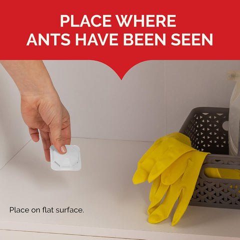 Hot Shot MaxAttrax Ant Bait 4 Count, Child-Resistant Bait Stations