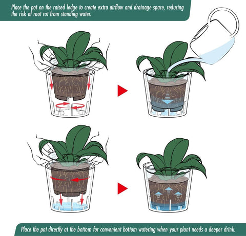 Phoenix Vine 3.5 Inch White Plastic Cachepot with Clear Nursery Pot, Decorative Lightweight Planter Cover with Transparent Inner Pot for Indoor Houseplants, Pack of 8, 24-A-D-8