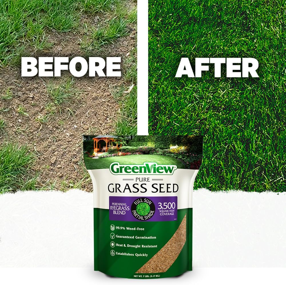 GreenView Pure Grass Seed Perennial Ryegrass Blend, 20 lb. Bag